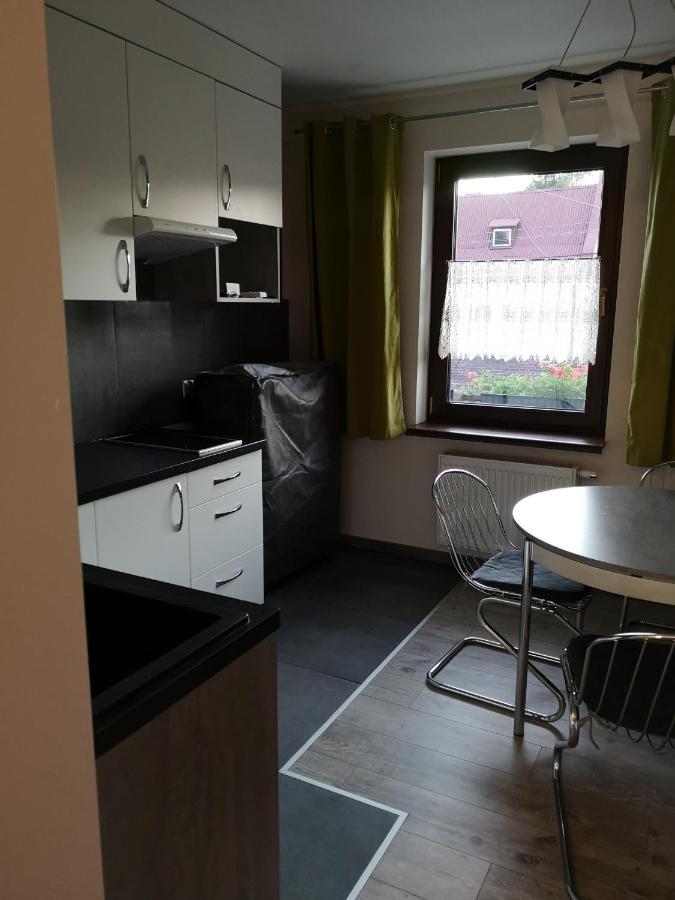 Apartamenty Jaskinia Solna Ruda Slaska Kültér fotó
