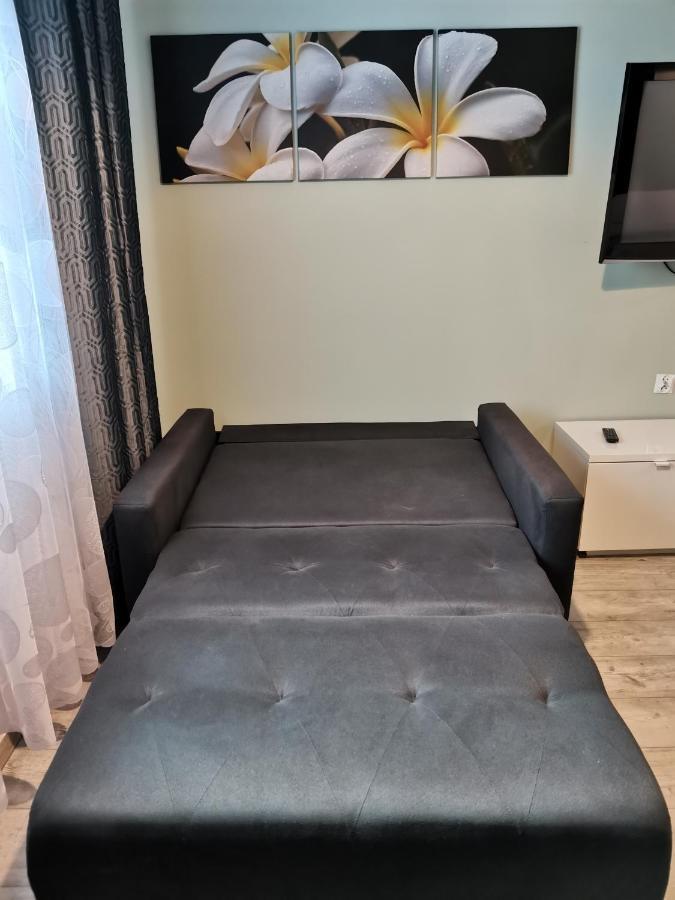 Apartamenty Jaskinia Solna Ruda Slaska Kültér fotó
